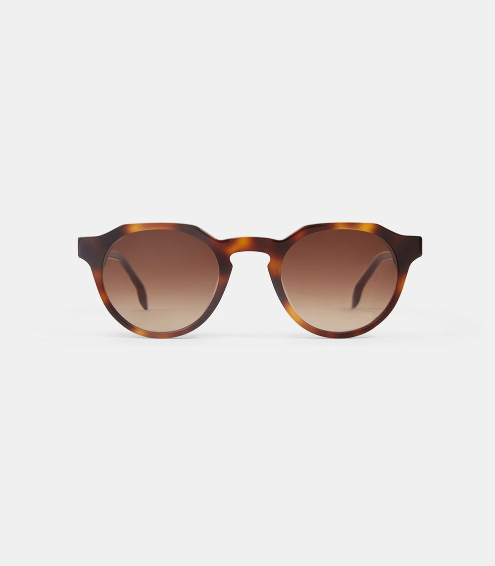 Ray V4-NEW BROWN GRADIENT