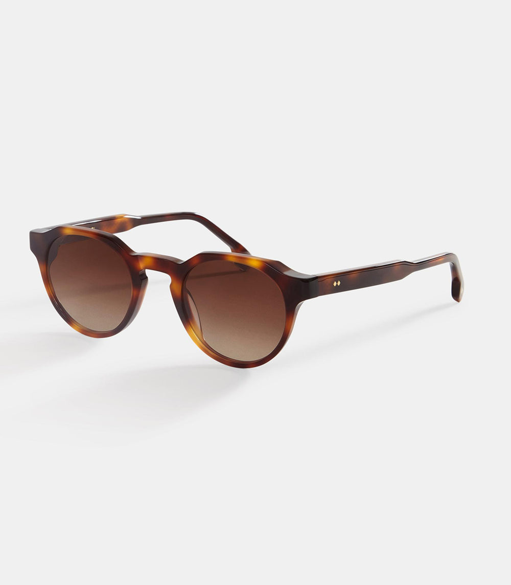 Ray V4-NEW BROWN GRADIENT