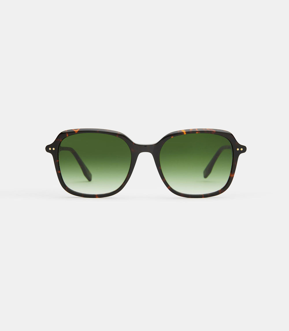 Salinas V3-GREEN GRADIENT