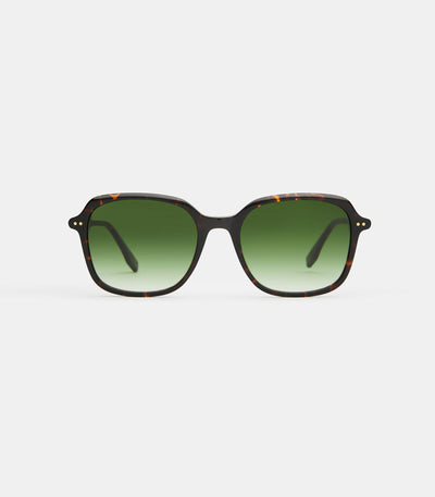 Salinas V3-GREEN GRADIENT