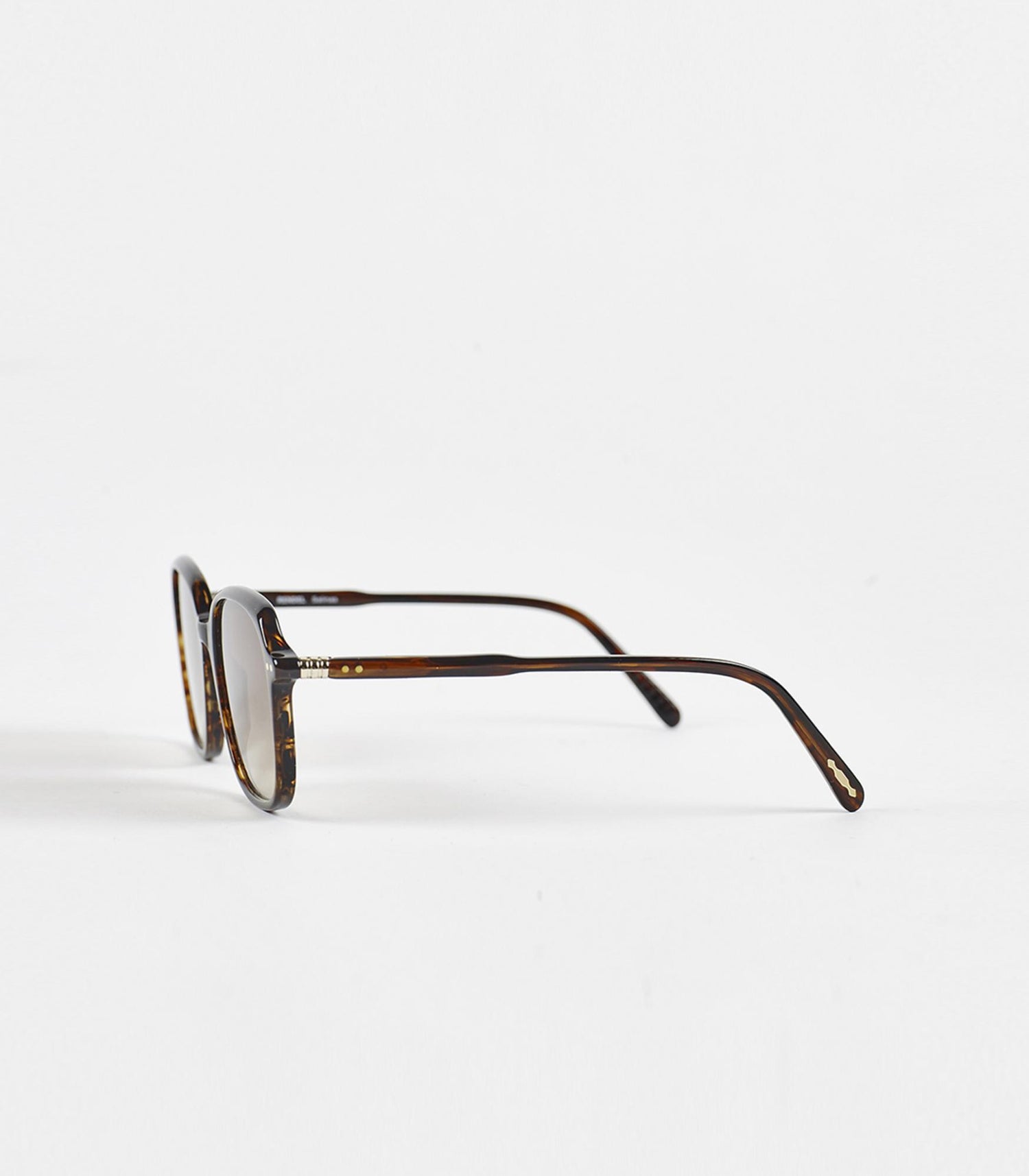 Salinas V4-NEW BROWN GRADIENT